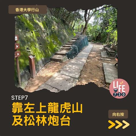 龍虎亭|港大行山路線︱龍虎山上盧吉道接纜車徑 香港島好去。